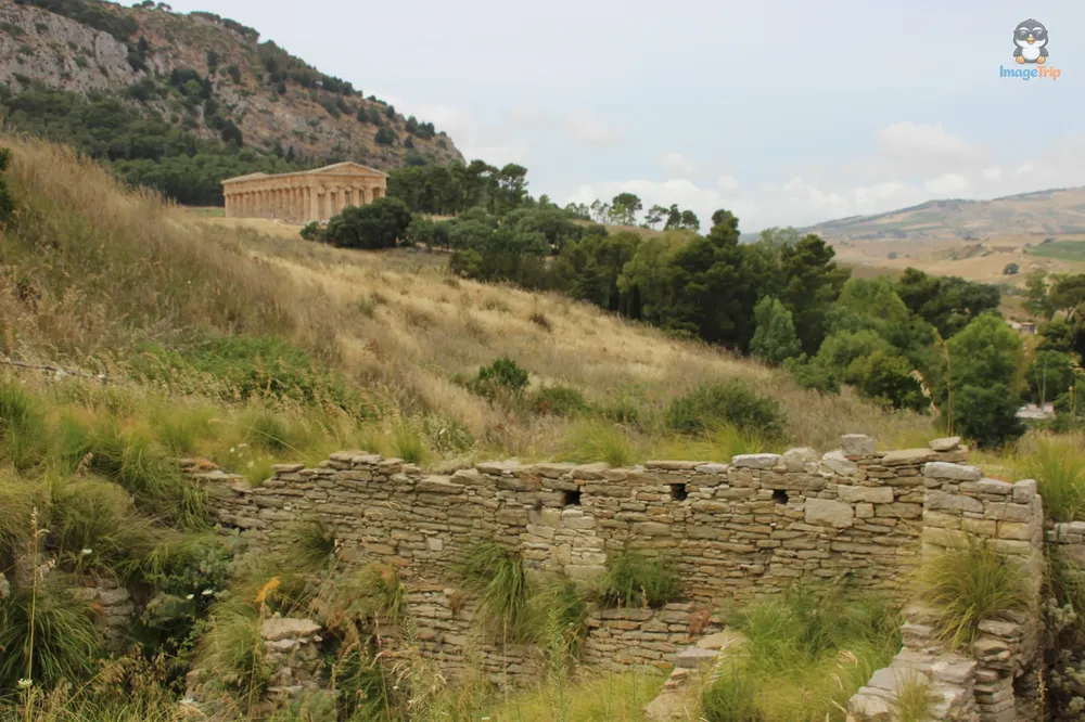 Segesta (56)