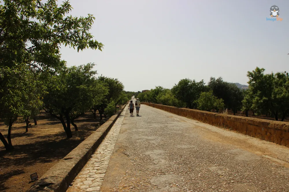 Agrigento Valle de los Templos (11)