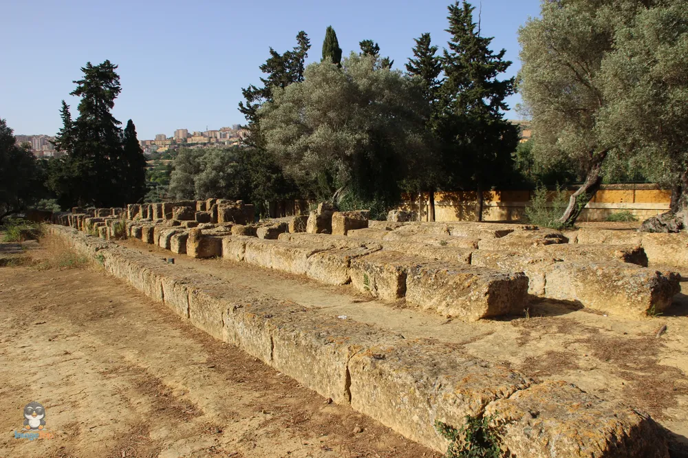 Agrigento Valle de los Templos (62)