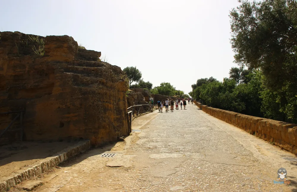 Agrigento Valle de los Templos (23)