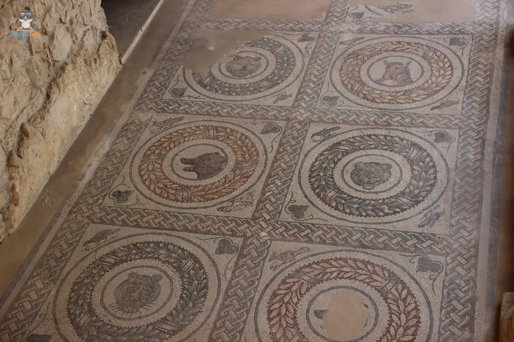 Villa de Casale (17)