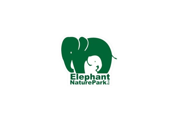 ZV ElephantNP