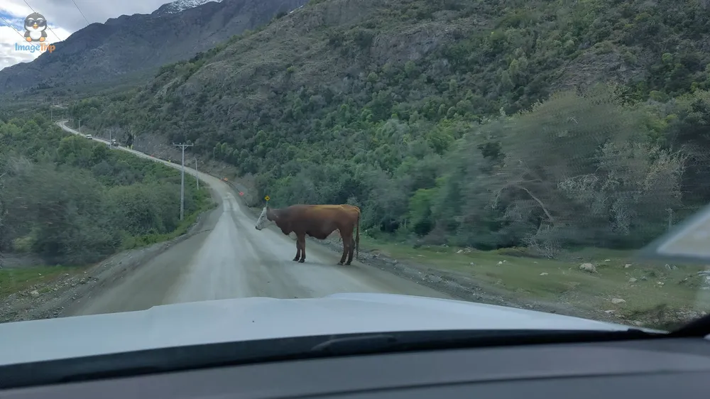 CuencaLagoCarrera_61