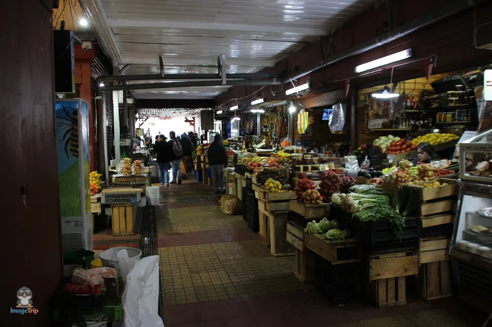 PuertoMontt_Angelmo_34