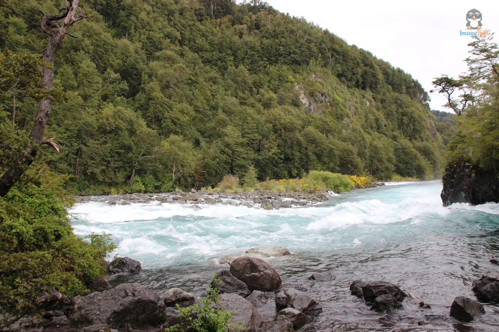 SaltosPetrohue_81
