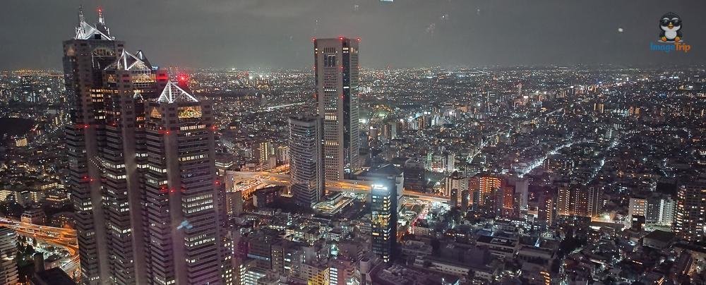 GatoShinjuku 4