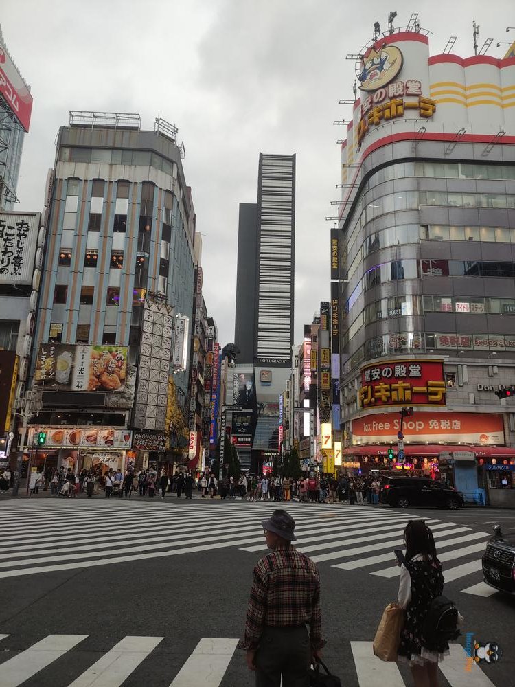 GatoShinjuku 1