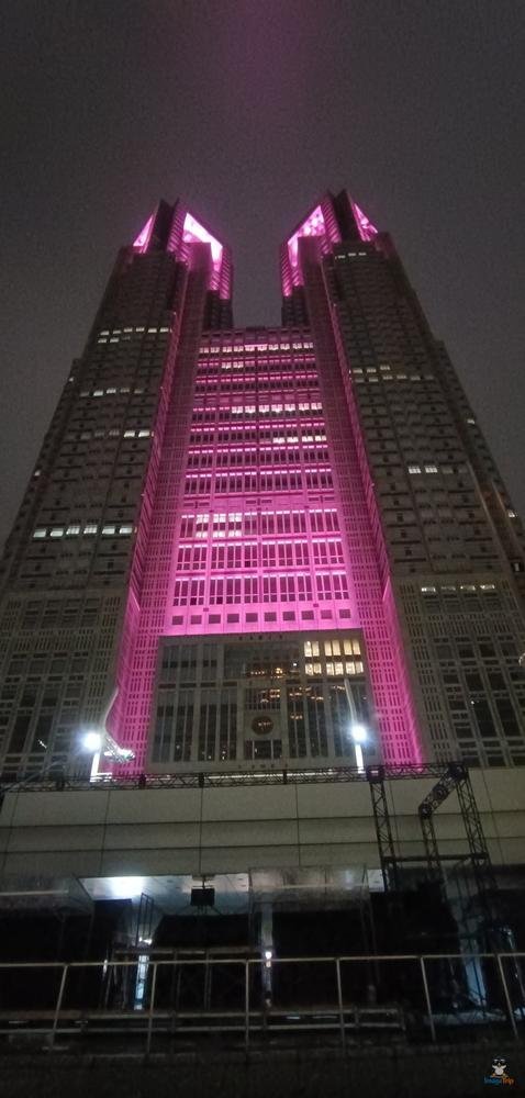 GatoShinjuku 2