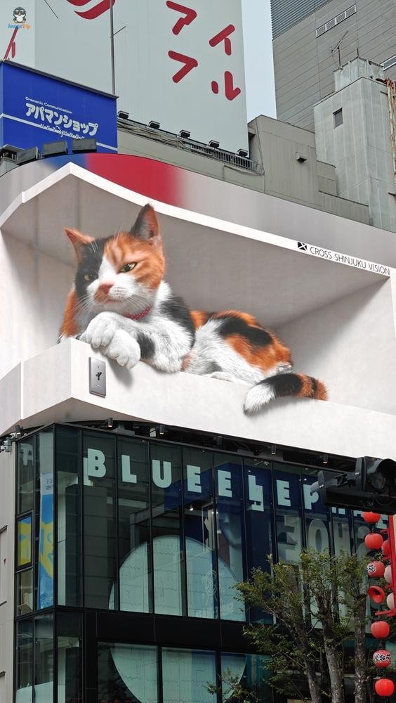 GatoShinjuku 3