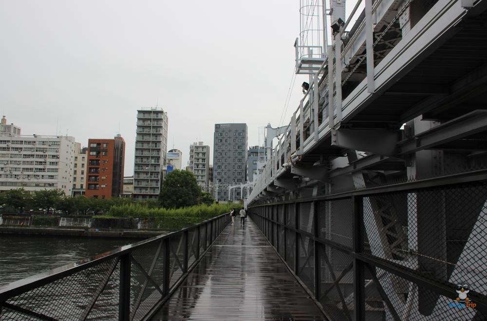 SensoJi 2