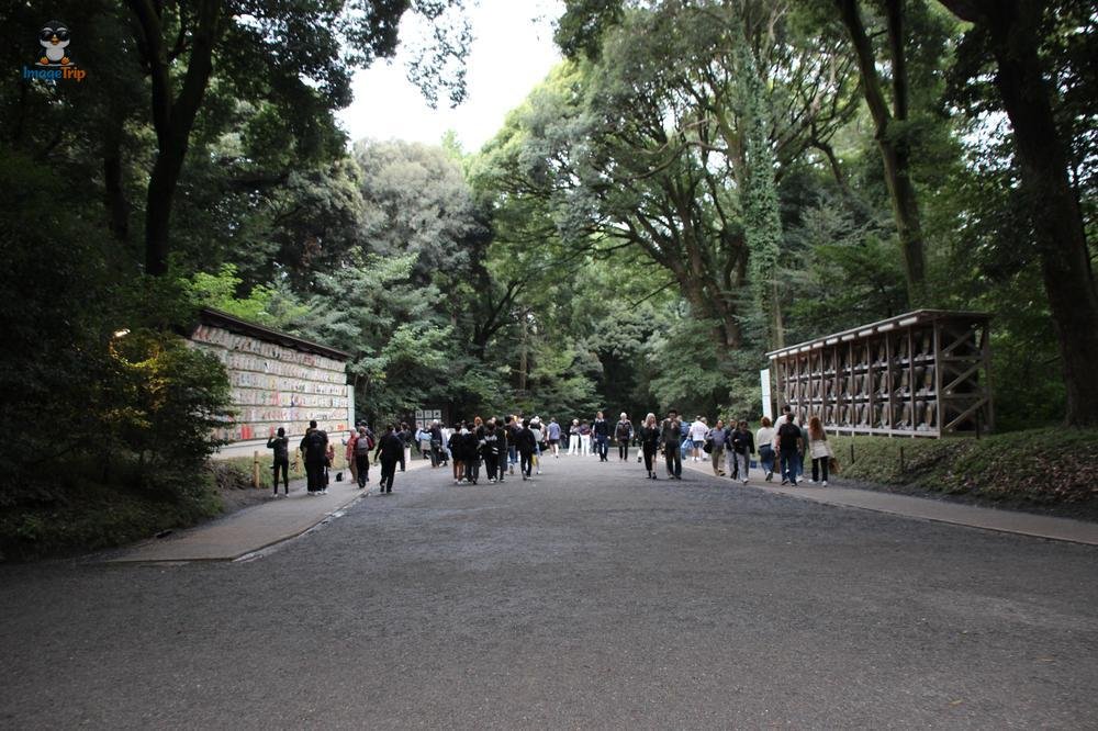 Centro Turistico 1