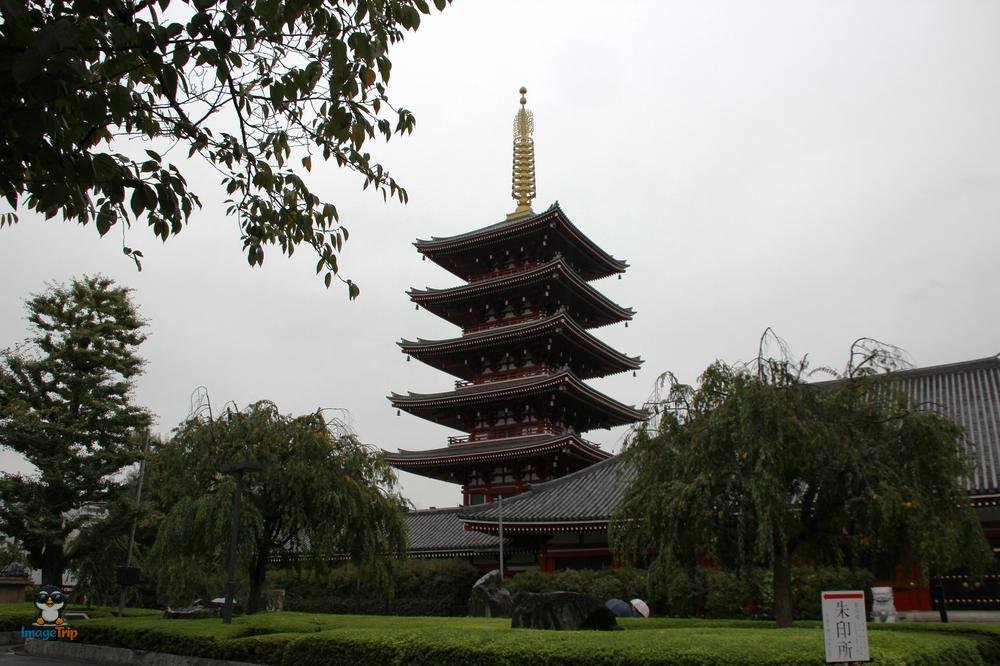 SensoJi 3