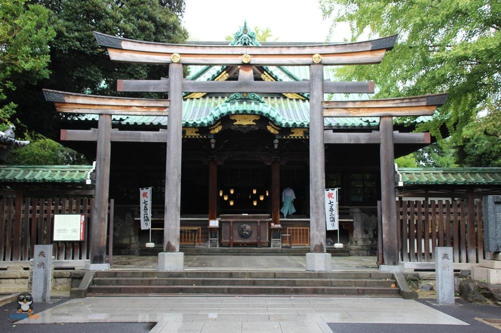 SensoJi 3