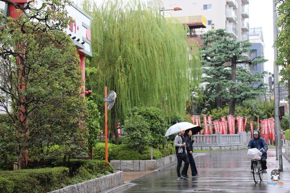 SensoJi 2