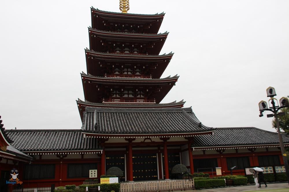 SensoJi 1