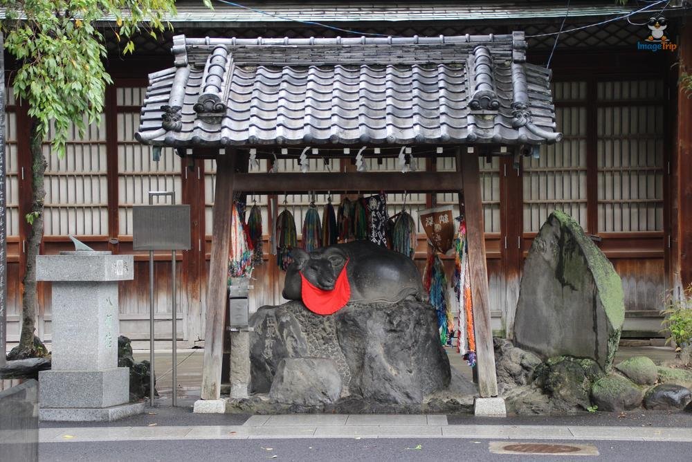 SensoJi 3