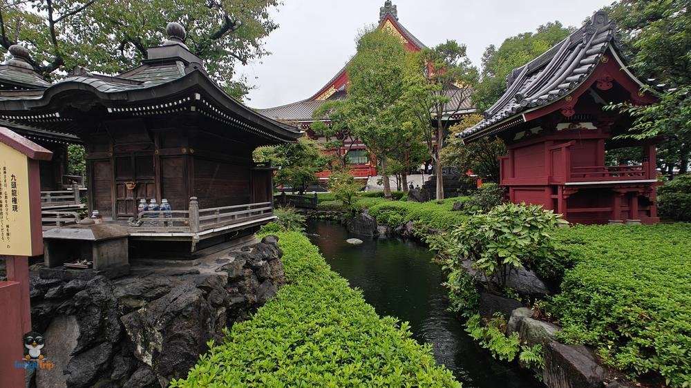 SensoJi 3