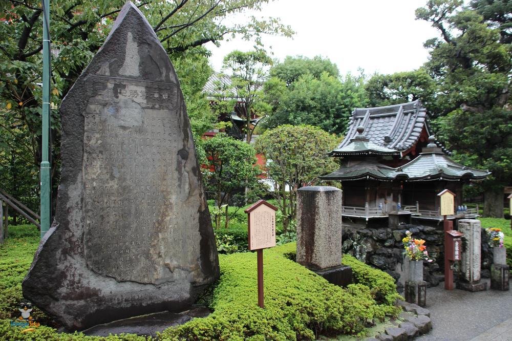 SensoJi 2