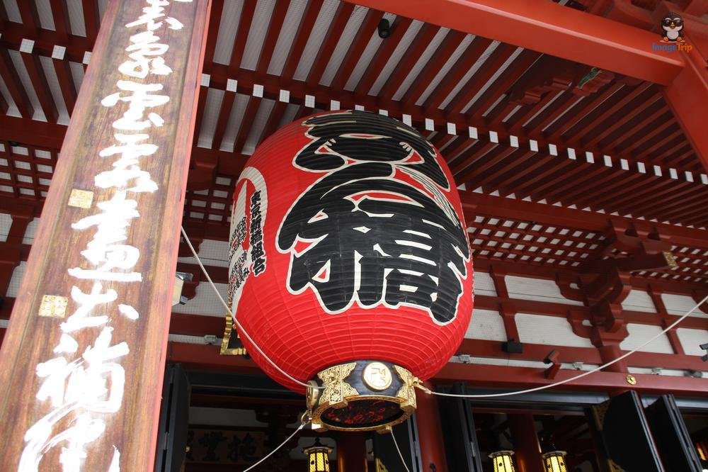 SensoJi 2