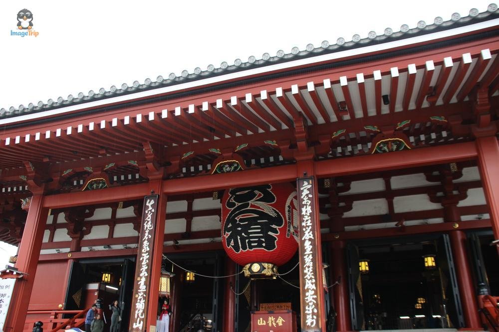SensoJi 2