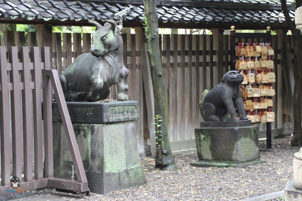 SensoJi 2