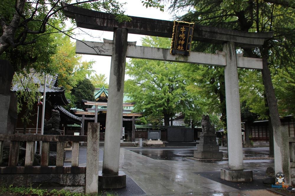 SensoJi 3