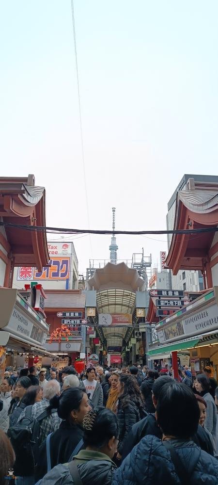 Centro Turistico 1