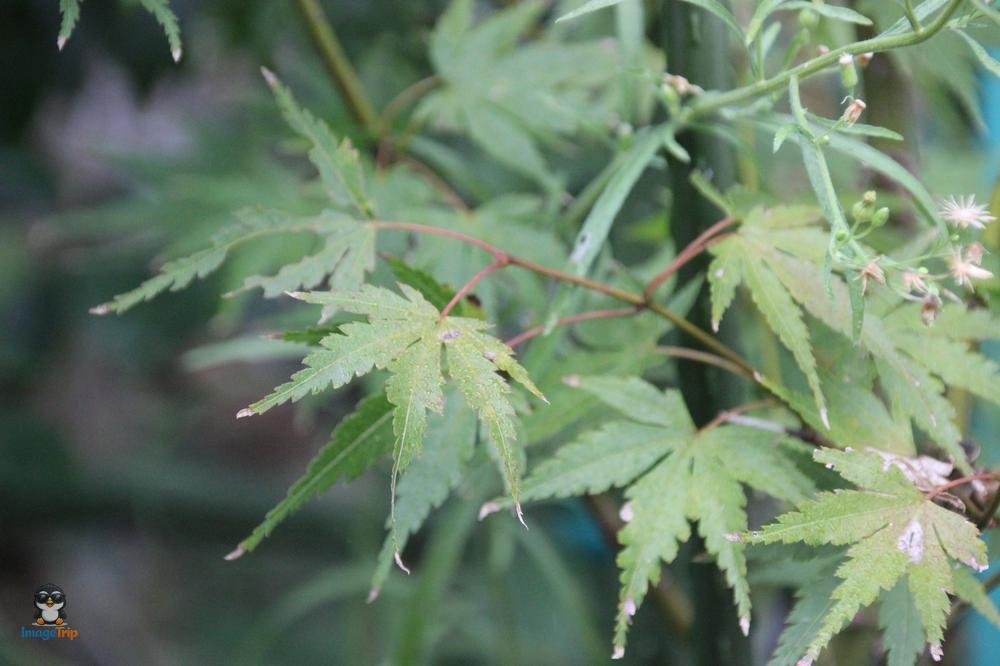 Centro Turistico 1