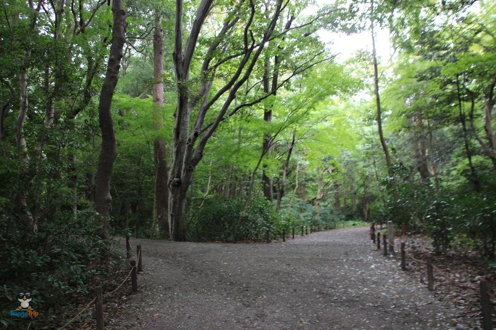 Centro Turistico 1