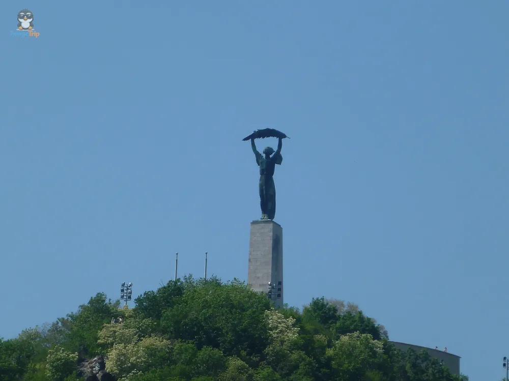 Puente Libertad 11