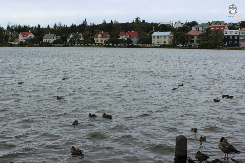 Reykjavik 1