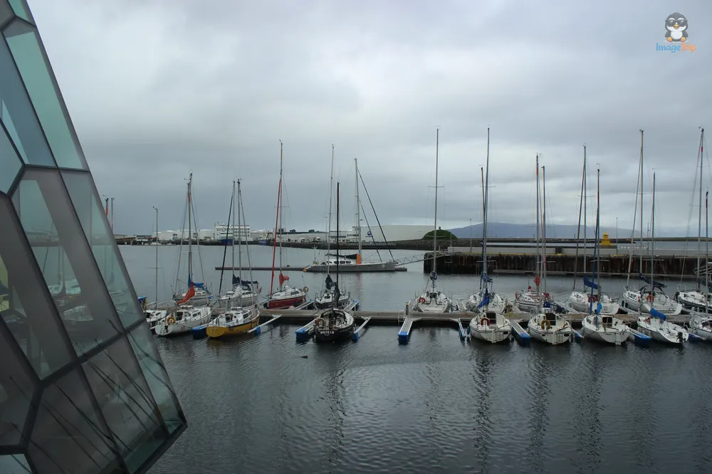 Harpa 6
