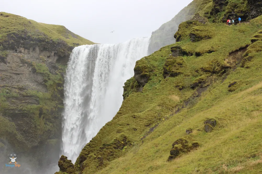 Skogafoss 32