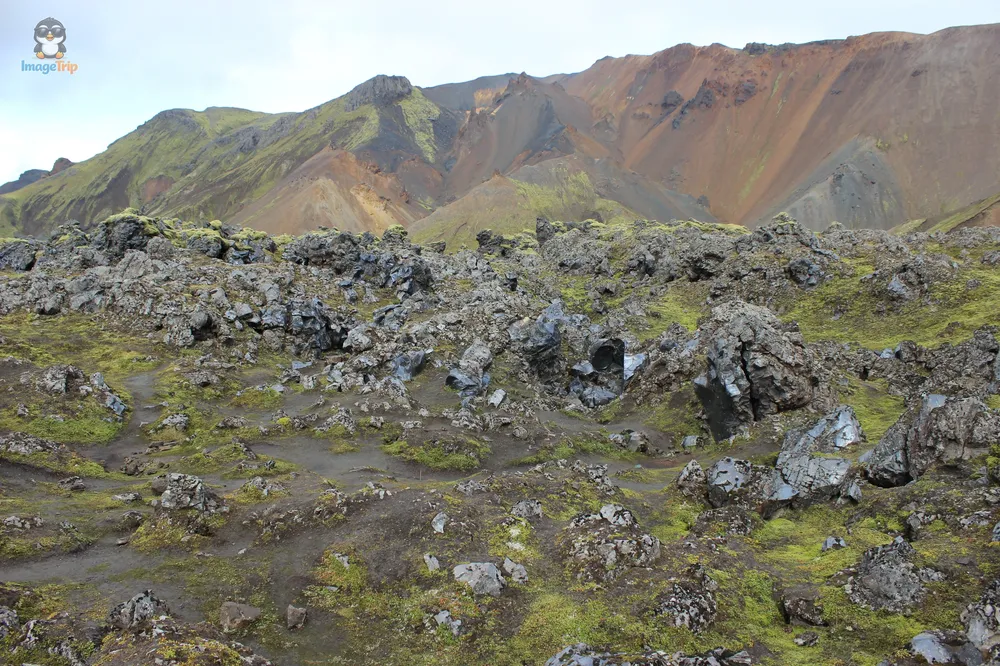 Campo Lava 6