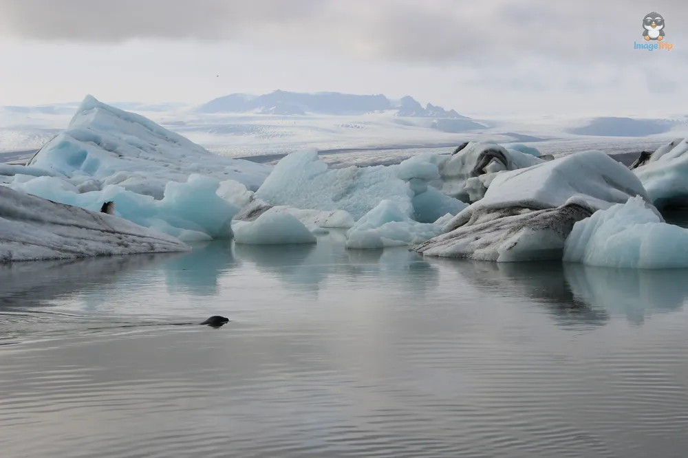 Jokulsarlon 18
