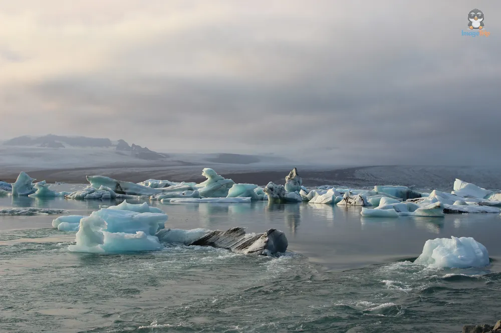 Jokulsarlon 76