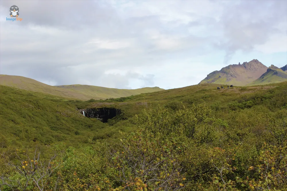 Svartifoss 7