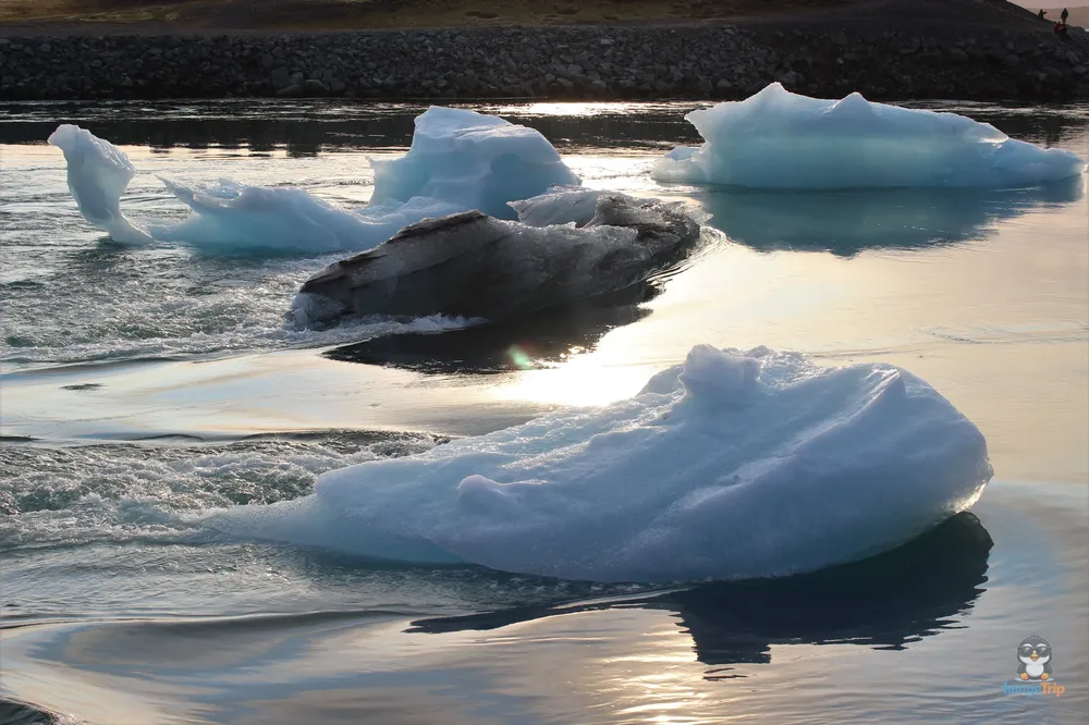 Jokulsarlon 74