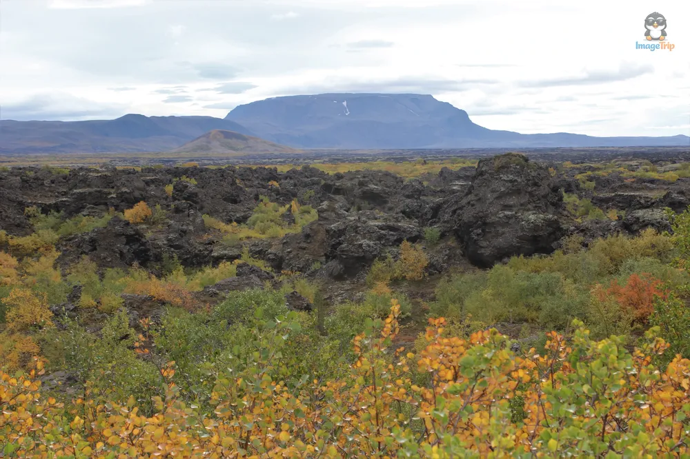 Myvatn 3