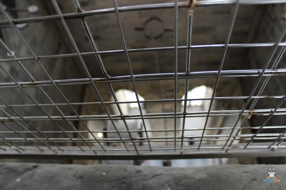 Catedral Florencia 34