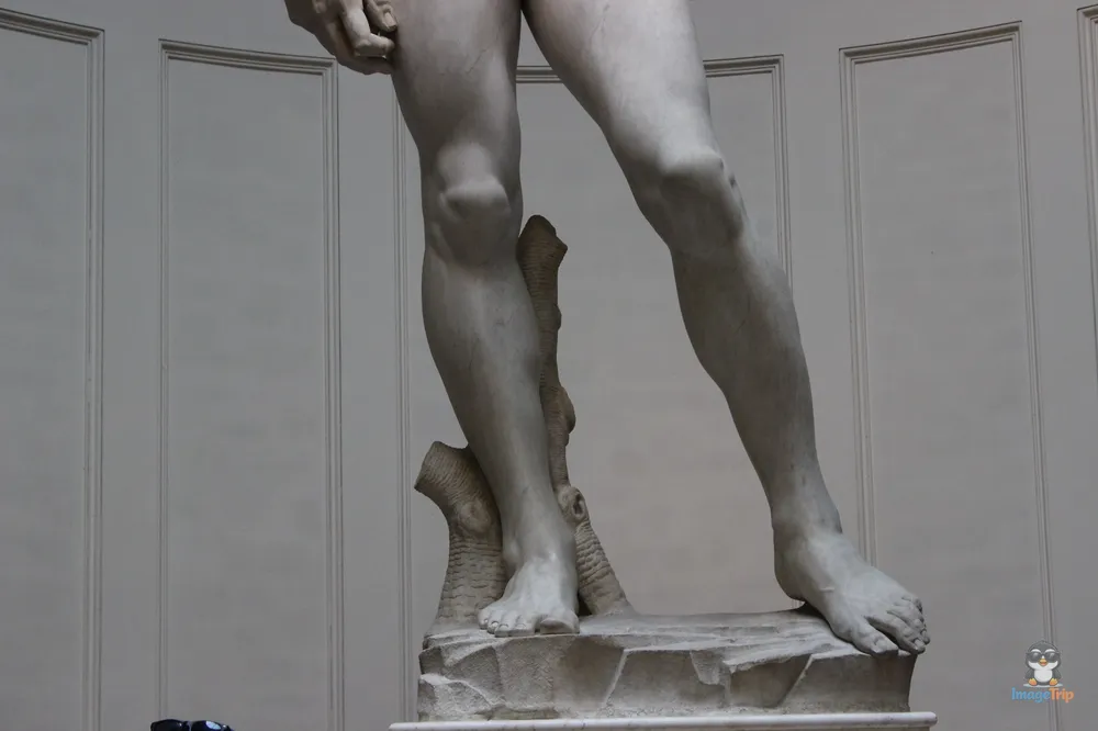 Galería de la Academia 6