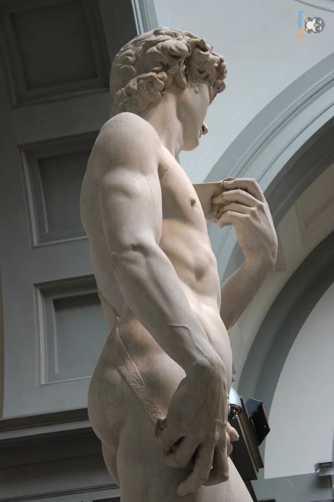 Galería de la Academia 11