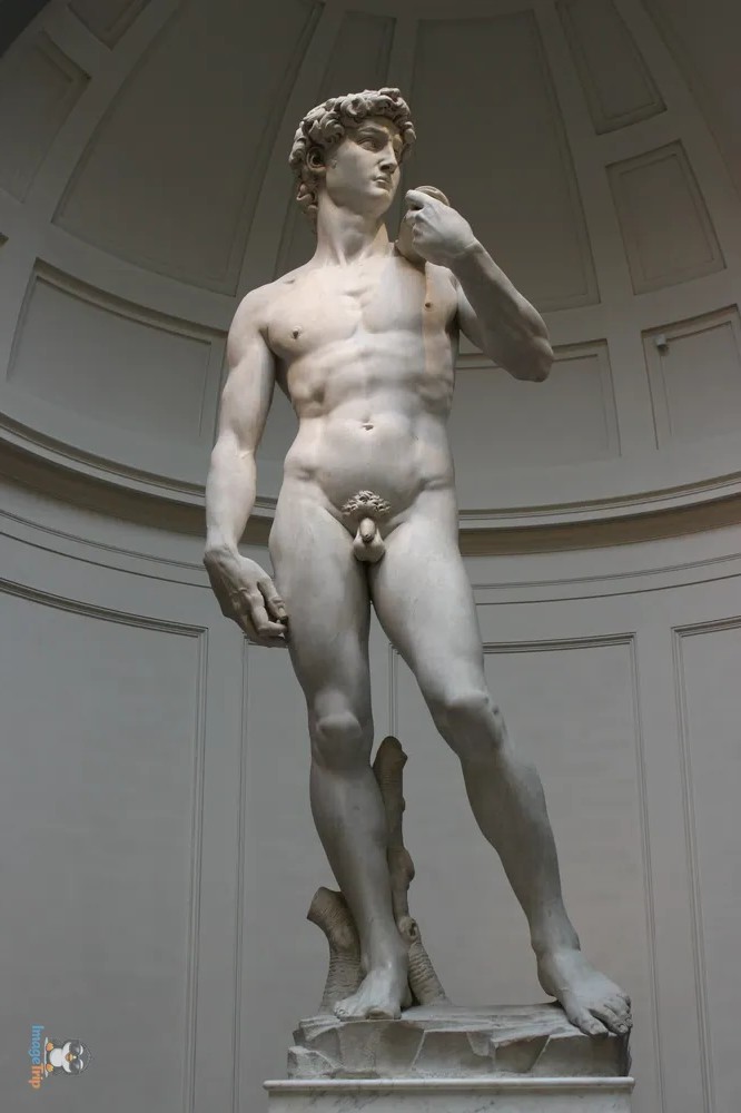 Galería de la Academia 8