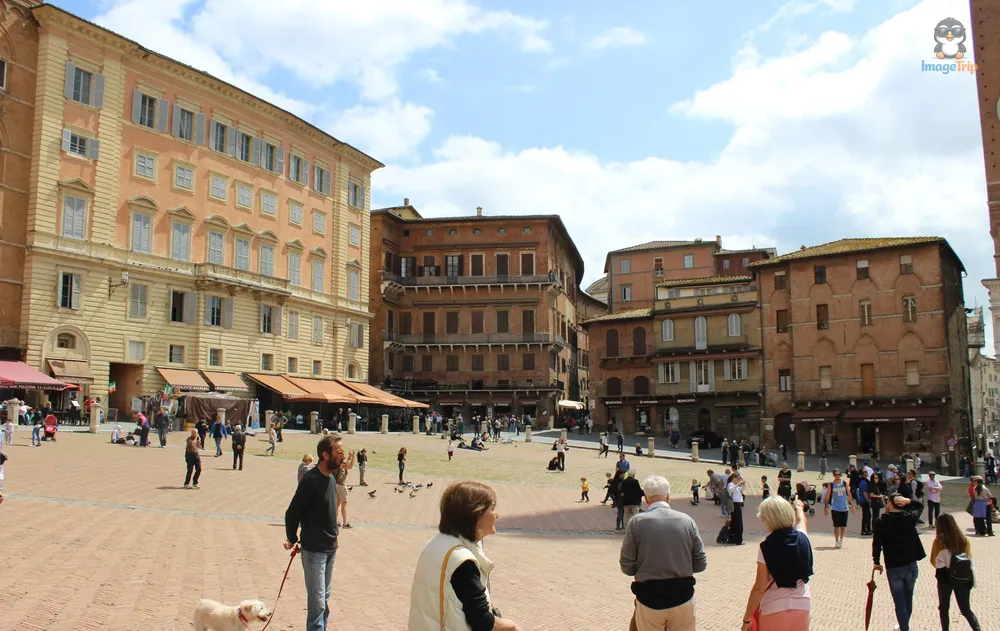 Siena Piazza del Campo 15