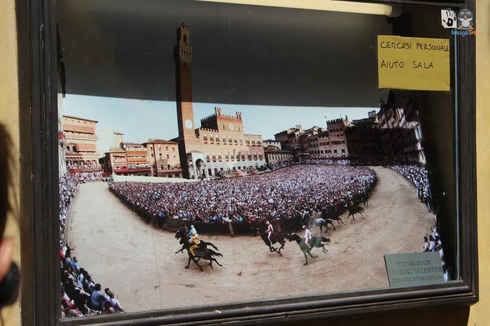 Siena Piazza del Campo 20
