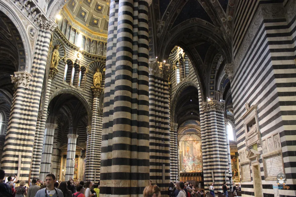 Siena Catedral 47