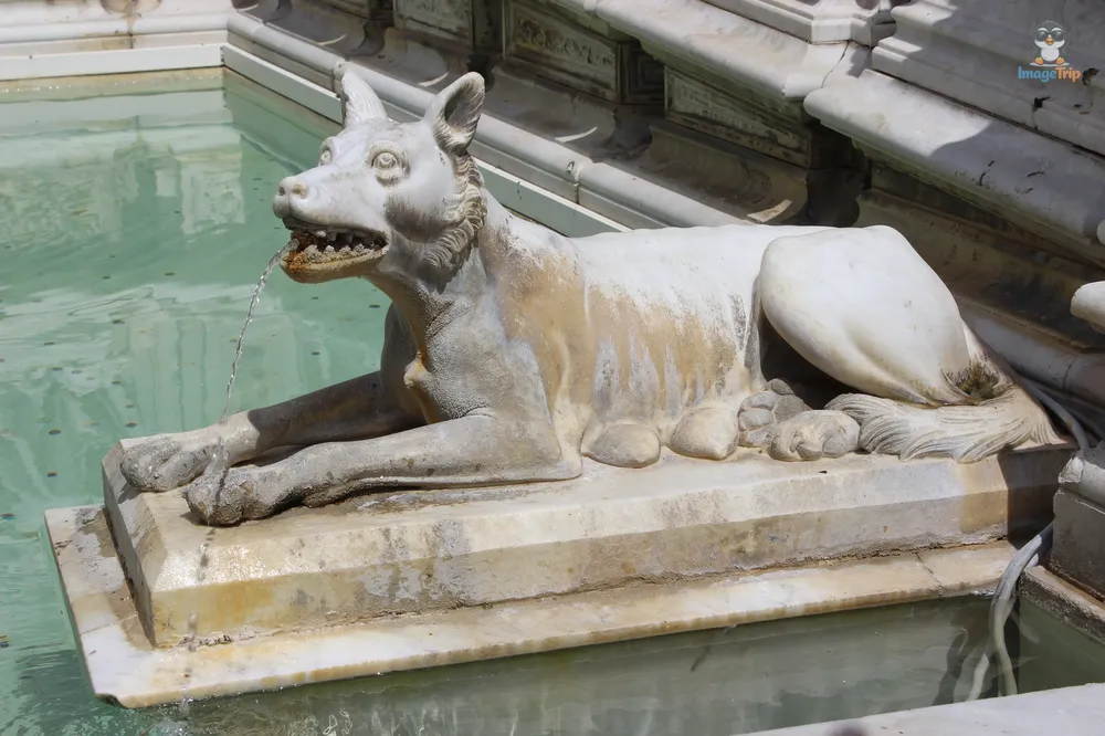 Siena Piazza del Campo 14