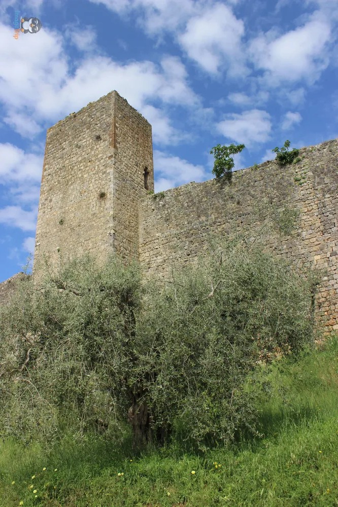 Monteriggioni 44