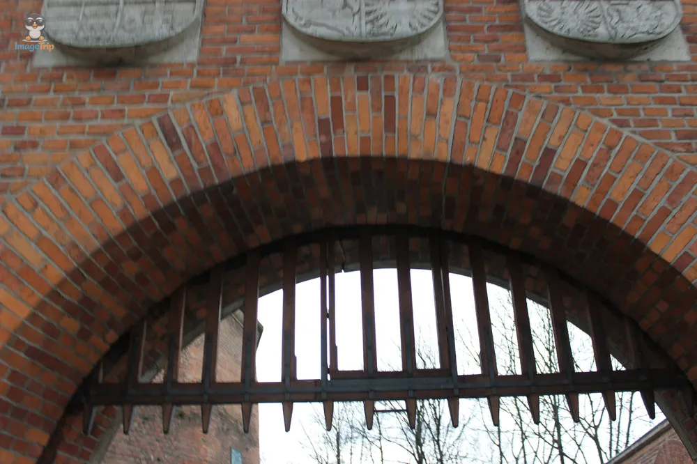 Castillo Wavel 8