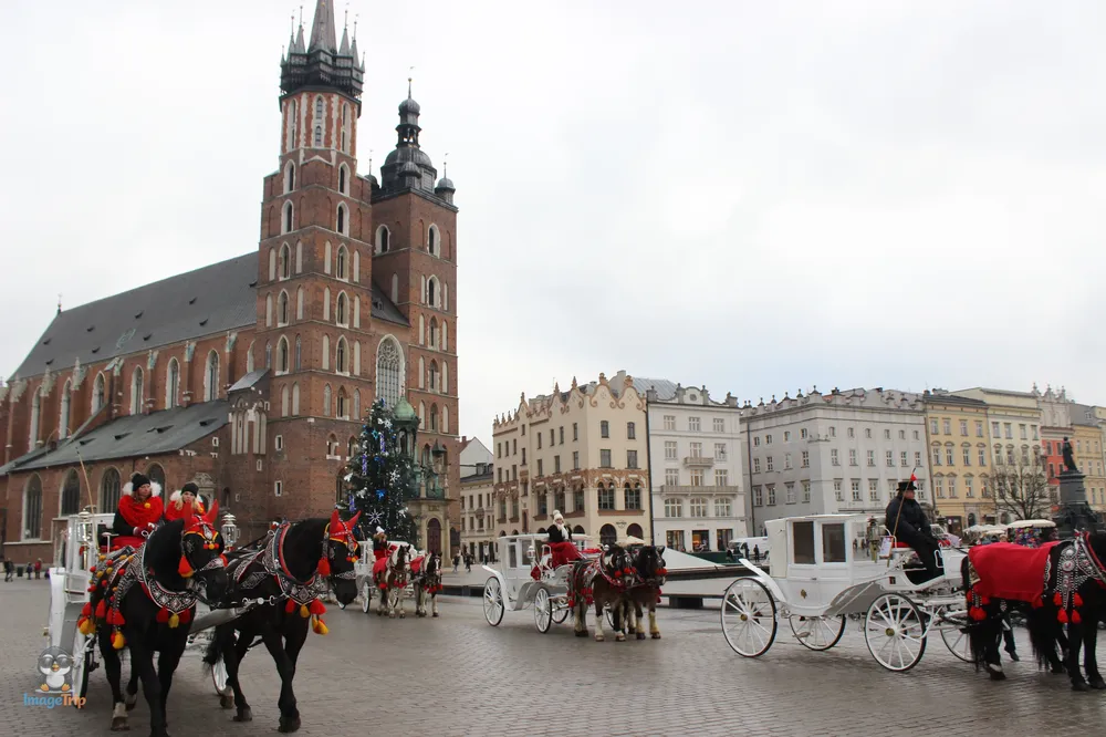PlazaMercado 1